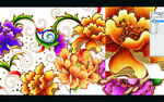 牡丹花