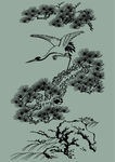 松鹤