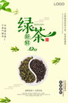 绿茶