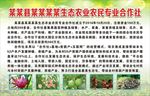 生态农业农民专业合作社