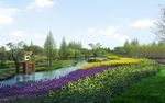 河道花海景观效果图