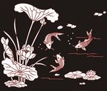 荷花鱼