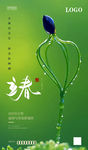 立春