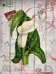 欧美风格油画 装饰画 无框画