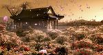 古代花园(有音乐)
