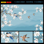 壁纸