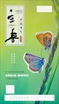 立春