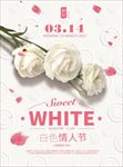 白色情人节