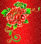 牡丹花