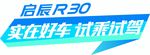 启辰R30车身贴
