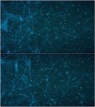 Plexus科技动态粒子背景