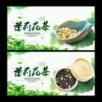 茉莉花茶