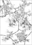 鱼 线描 素描 白描 国画