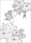 鱼 线描 素描 白描 国画