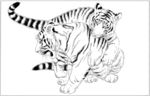 老虎 猛虎 线描 素描 白描