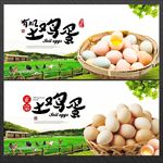土鸡蛋