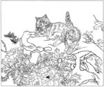 猫咪 素描 线描 白描 国画
