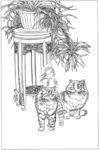 猫咪 素描 线描 白描 国画