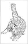 猫咪 素描 线描 白描 国画
