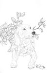 宠物名犬狗 白描 素描 线描