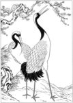 仙鹤 线描 素描 白描 国画
