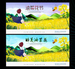 油菜花