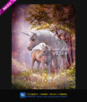 独角兽影楼模板