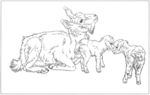 山羊 白描 素描 线描 国画