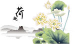 荷花