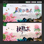 杜鹃花