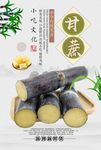创意古典风养生甘蔗美食海报