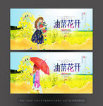油菜花