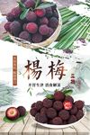 杨梅采摘海报展板