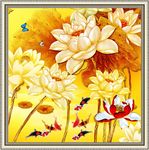 金色荷花