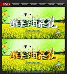 油菜花