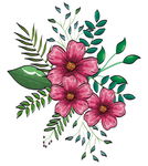 花卉