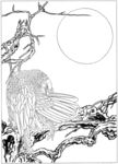 雄鹰 线描 素描 白描 国画