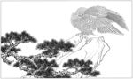 雄鹰 线描 素描 白描 国画