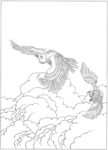 雄鹰 线描 素描 白描 国画