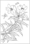 百合 白描 素描 线描 国画