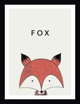 FOX狐狸