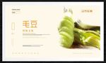 毛豆