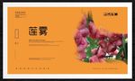 莲雾