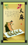 天麻