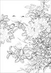 茶花 白描 素描 线描 国画