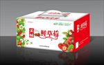 草莓包装展开图