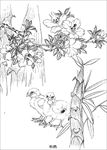 杜鹃花线描 杜鹃花白描 杜鹃花