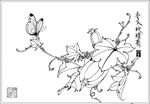 香瓜线描 香瓜白描 香瓜素描