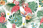 热带花鸟植物矢量图案无缝墙纸