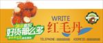 水果 美味 健康 维生素 圆润